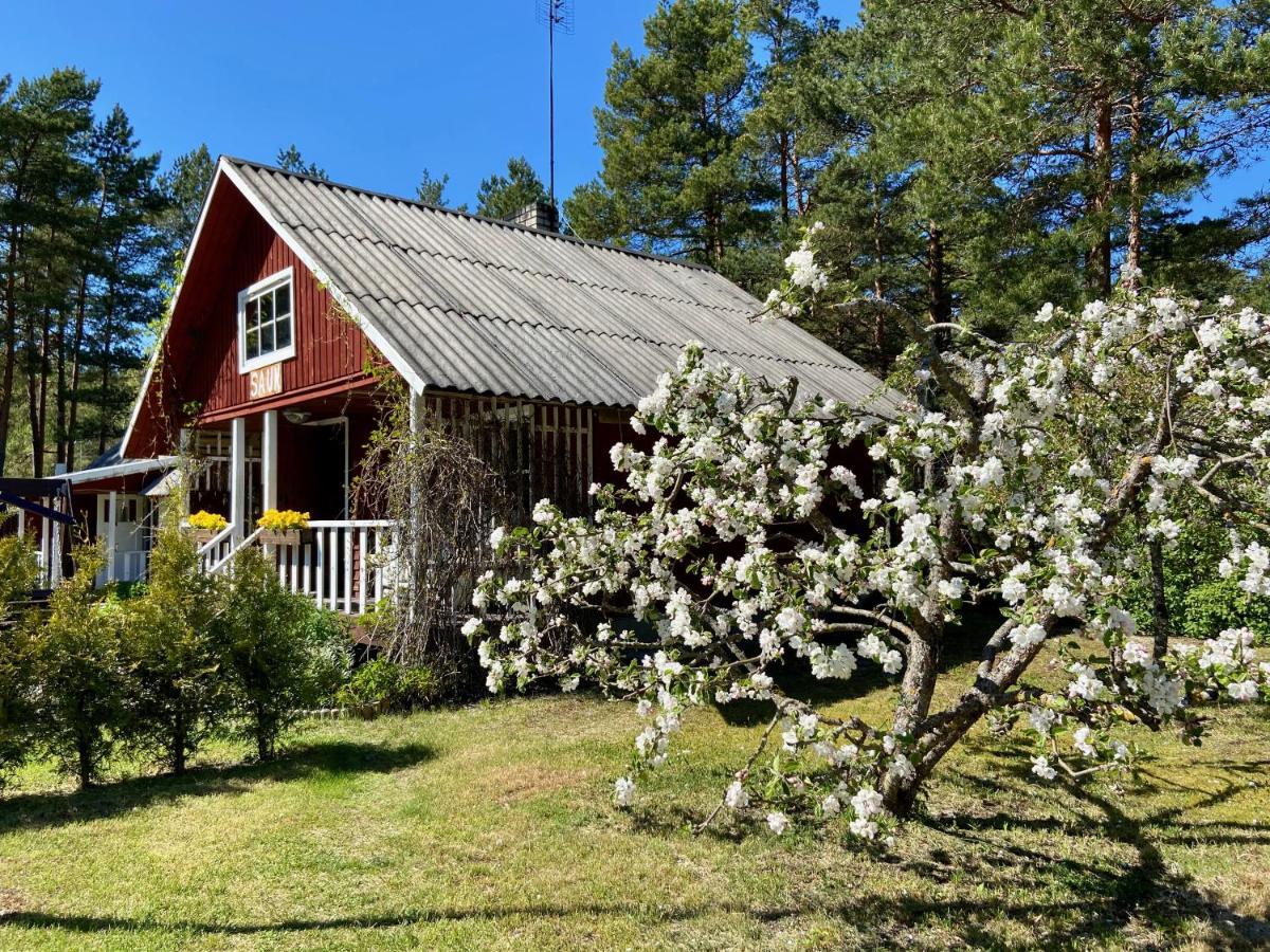 Nova Madise Guesthouse Rannaküla Eksteriør bilde